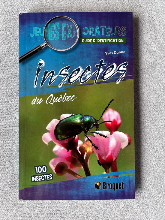 Broquet Other - FRENCH ~ Insectes du Québec (Guide Jeunes explorateurs) ~ Brand New!